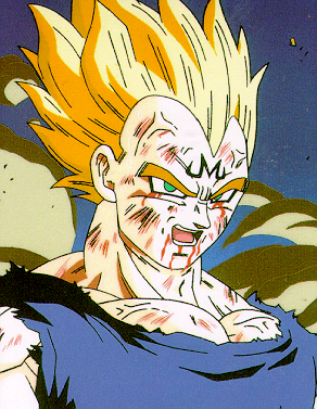 vegeta13.jpg